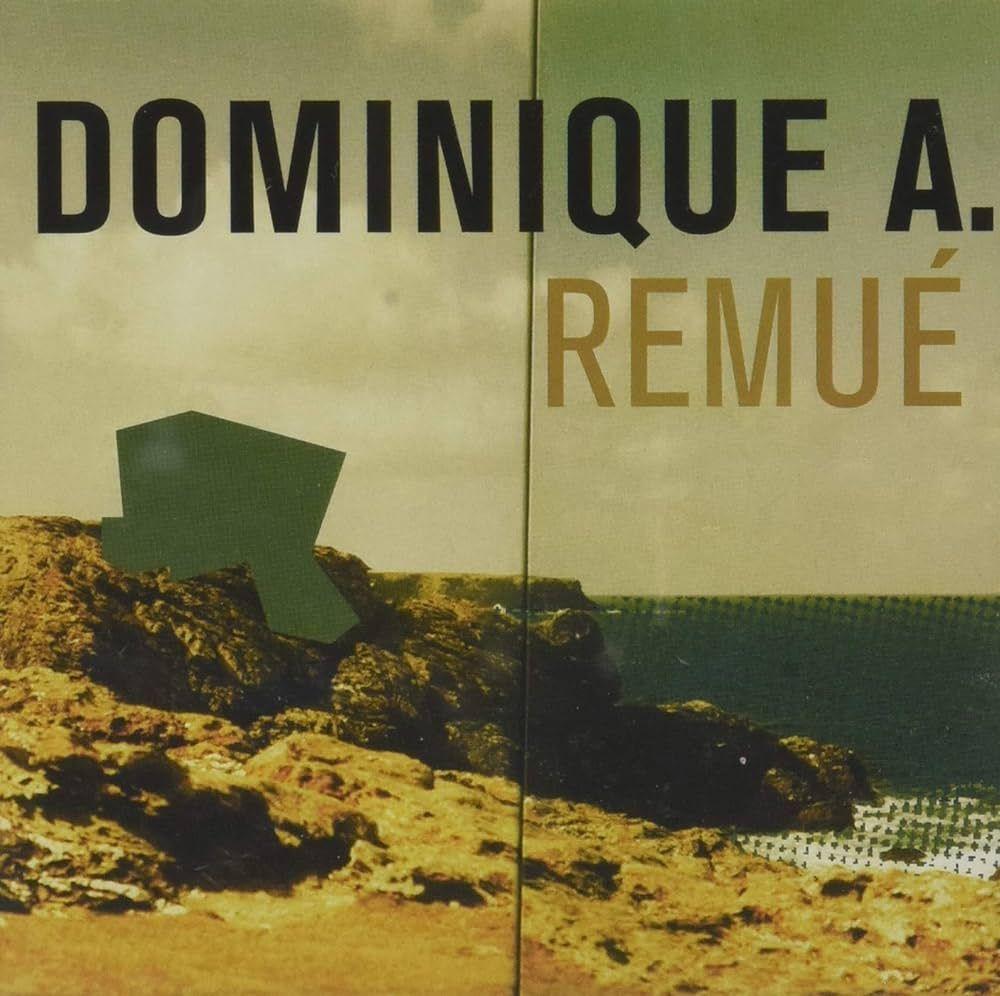 Album cover of "Remué" by Dominique A