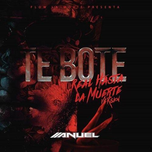 Portada de Sencillo/EP "Te Bote (Versión RHLM)", de Flow La Movie