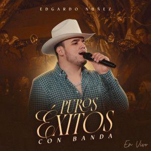 Portada de Álbum "Puros Exitos Con Banda (En Vivo)", de Edgardo Nuñez