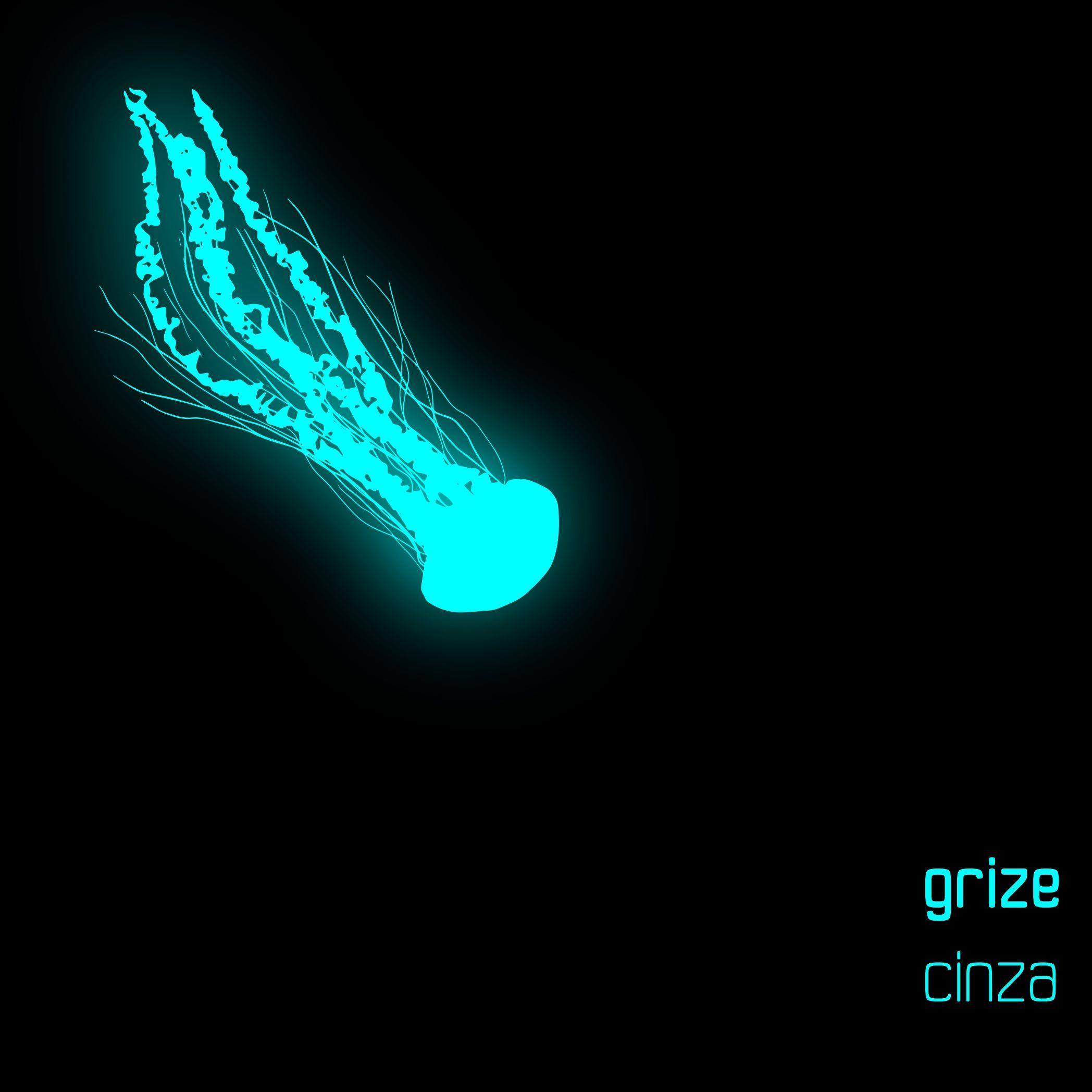 Portada de Álbum "Cinza", de Grize