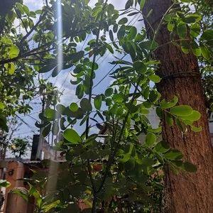 Portada de Sencillo/EP "Don't U Worry", de Raul Biscaro