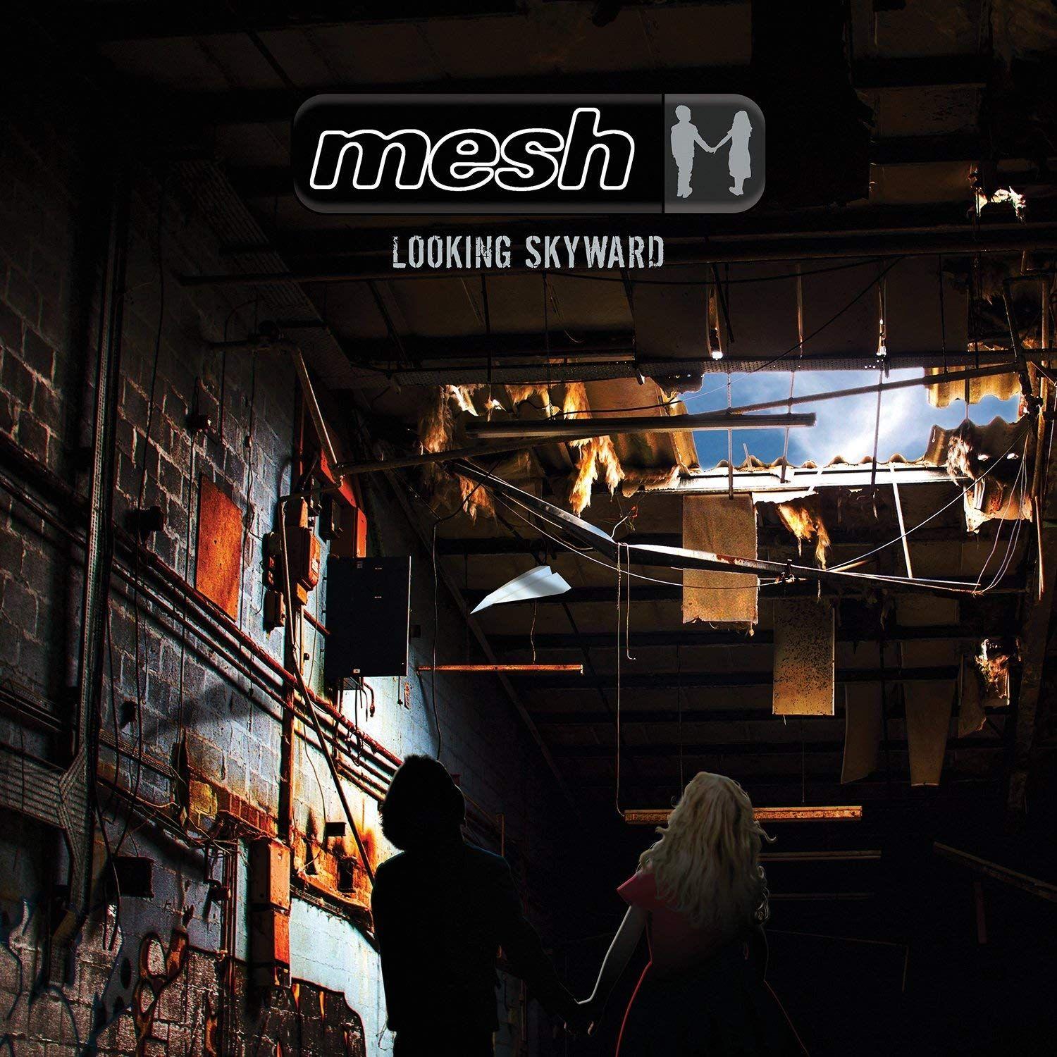 Album cover of "Looking Skyward" by Mesh