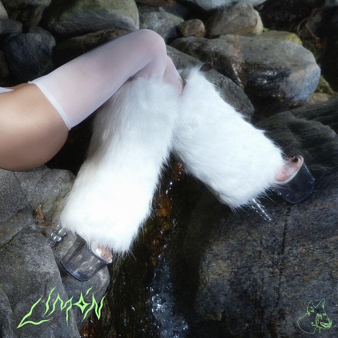 Portada del álbum "Limón", de Loyal Lobos