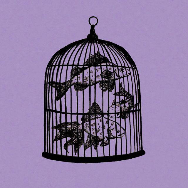 Portada de Álbum "Waterfall", de Fish In a Birdcage