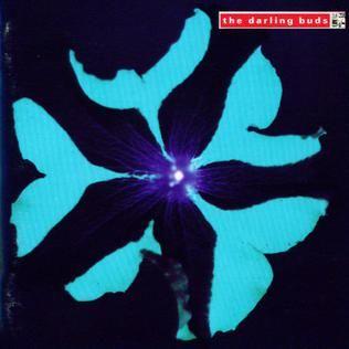 Portada de Álbum "Crawdaddy", de The Darling Buds