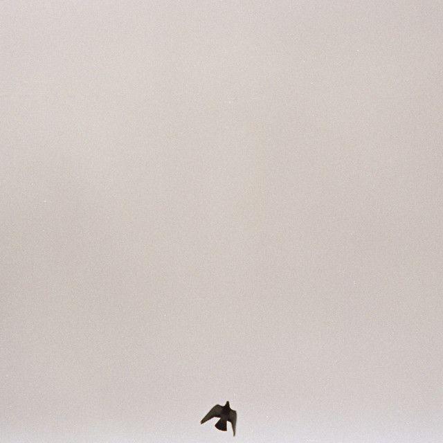 Portada de Sencillo/EP "You Know How It Feels", de Maverick Sabre