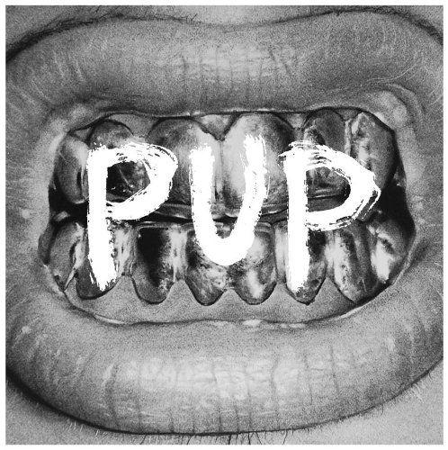 Portada de Álbum "PUP", de PUP