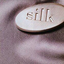 Portada de Álbum "Silk (1995) ", de Silk