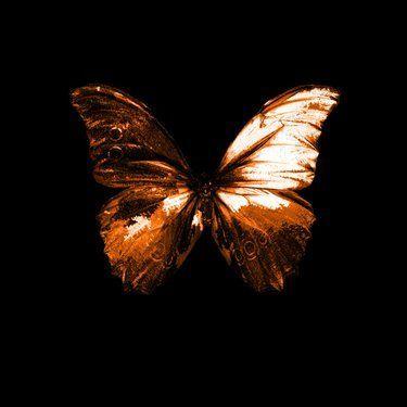 Portada de Sencillo/EP "Patient Demos (Deluxe Edition)", de Blacklit Canopy