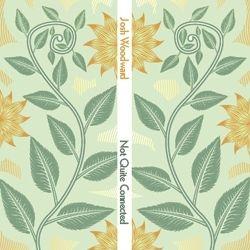 Portada de Álbum "Not Quite Connected", de Josh Woodward