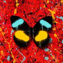 Album cover of "Overpass Graffiti" by Ed Sheeran