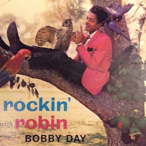 Capa do Álbum "Rockin' With Robin", de Bobby Day