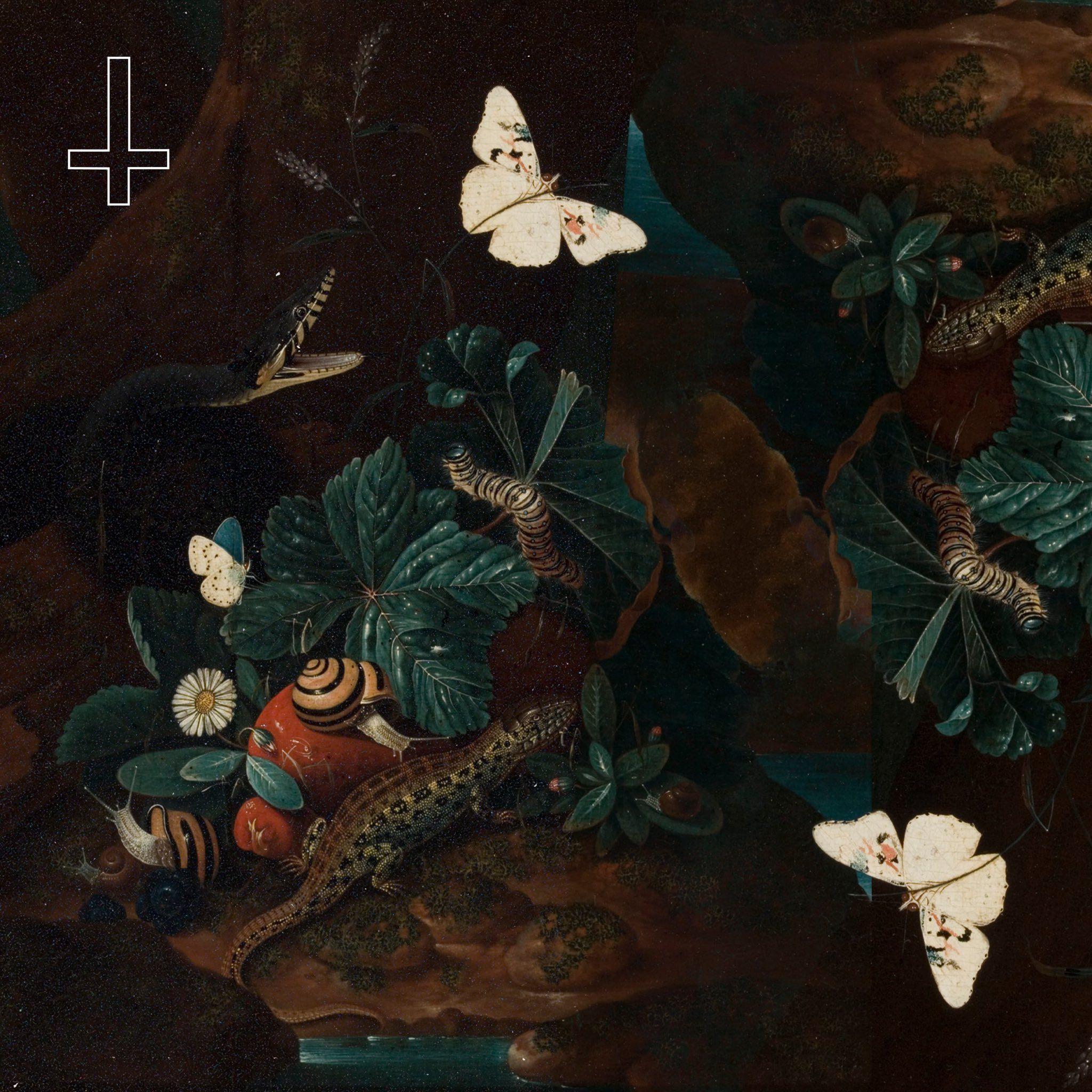 Portada de Álbum "Eu Sou a Derrota", de Sangue de Bode