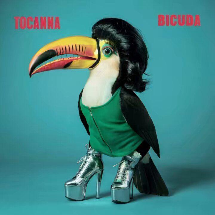 Single/EP cover of "Bicuda " by Tocanna