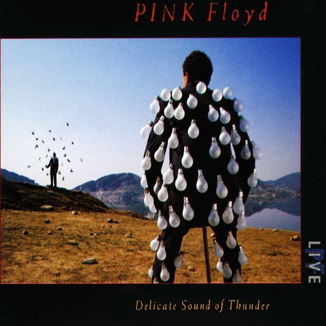 Capa do Álbum "Delicate Sound Of Thunder (Ao Vivo)", de Pink Floyd