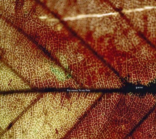 Portada de Álbum "Gene", de Pay Money To My Pain