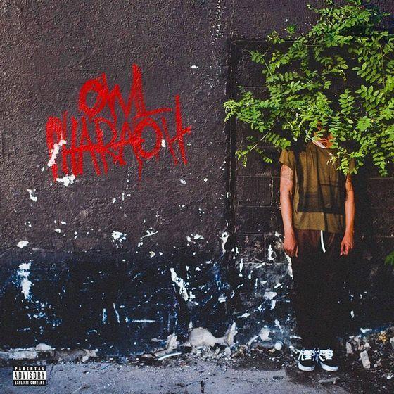 Album cover of "Owl Pharaoh" by Travis Scott