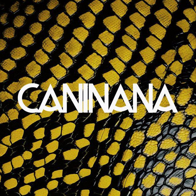 Album cover of "Caninana" by Torya