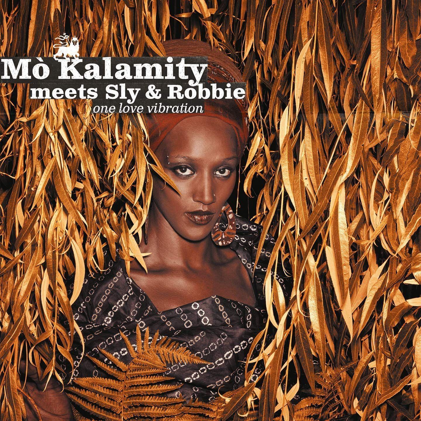 Capa do Álbum " One Love Vibration", de Mo'kalamity