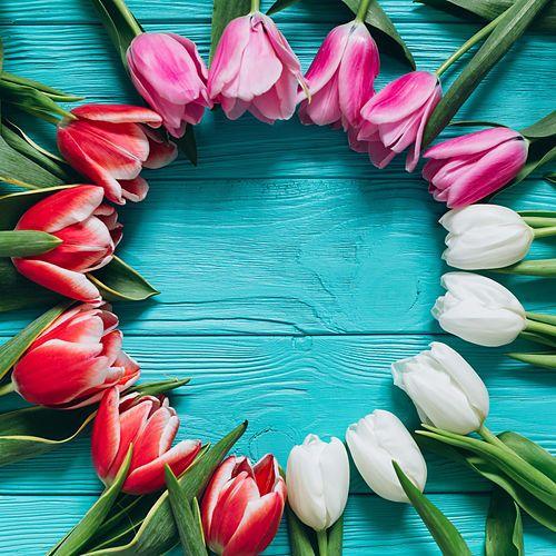 Capa do Single/EP "Me Niego", de Daniel Leal