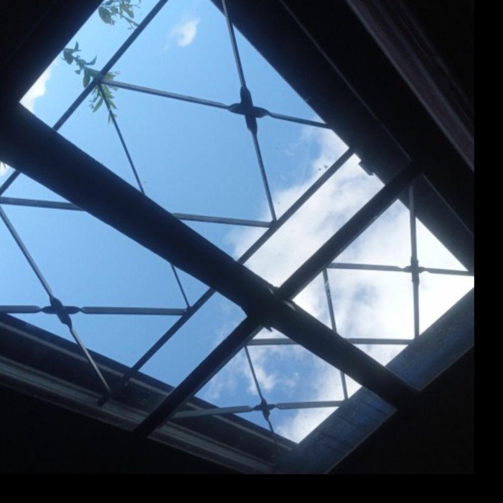 Portada de Sencillo/EP "Ginkgo Song", de S.O.Srenz