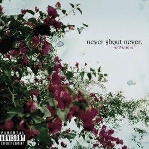 Portada de Álbum "What Is Love", de Never Shout Never