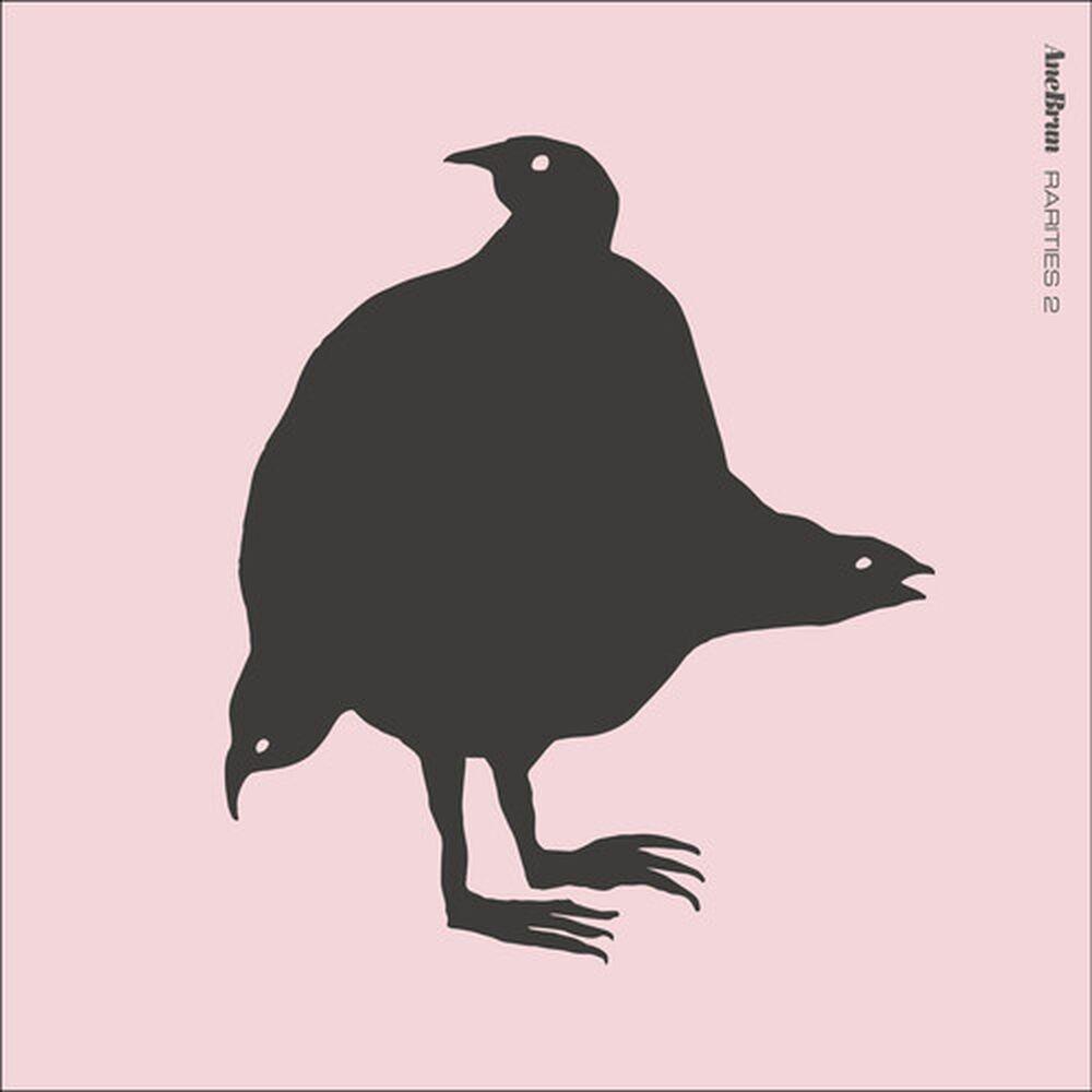 Capa do álbum "Rarities 2", de Ane Brun