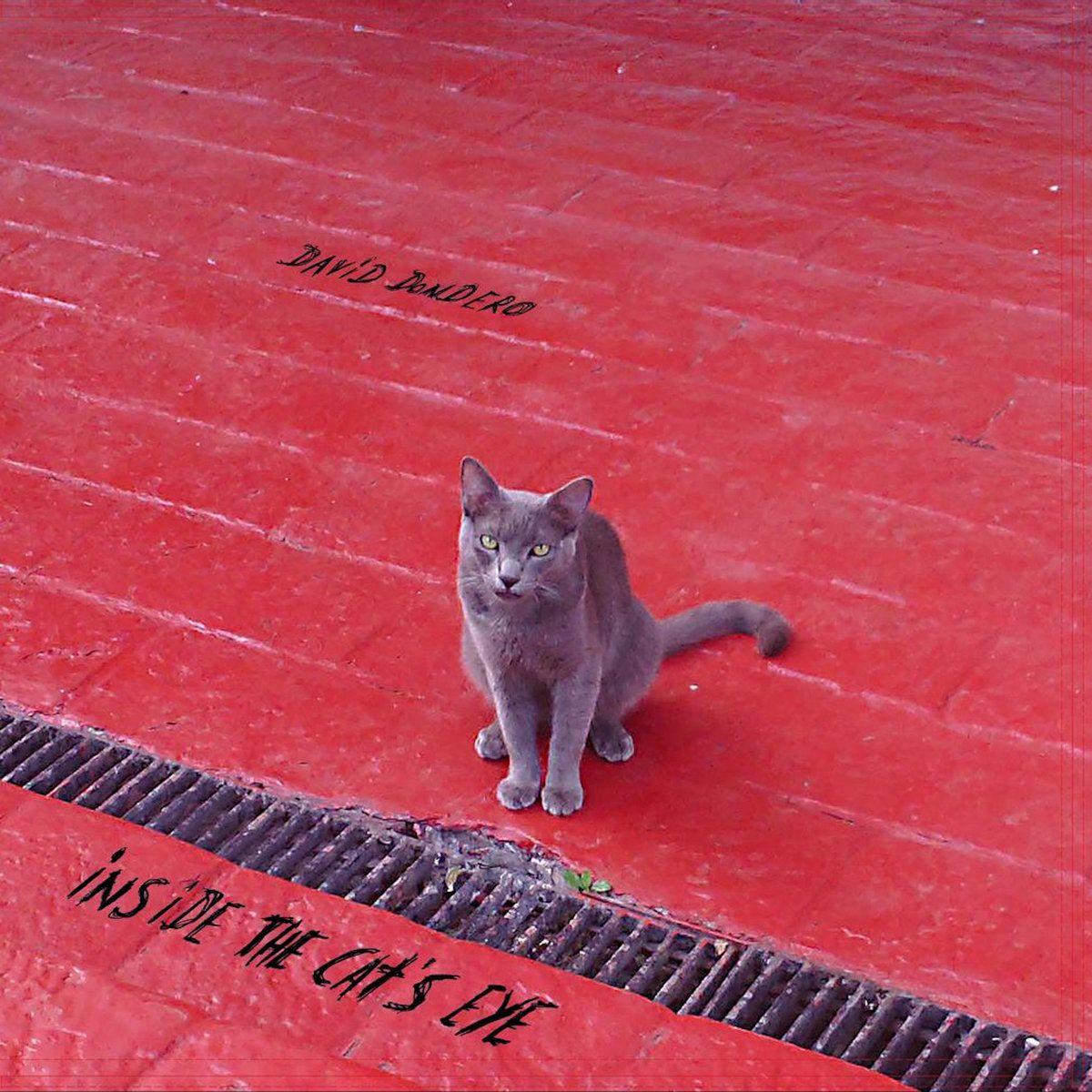 Portada de Álbum "Inside The Cat's Eye", de David Dondero