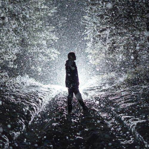 Portada de Álbum "Willfully Blind", de Max McNown