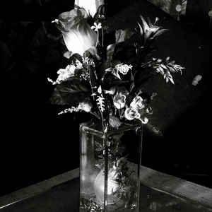 Portada de Álbum "Just Another Day", de Ricardo Cesar