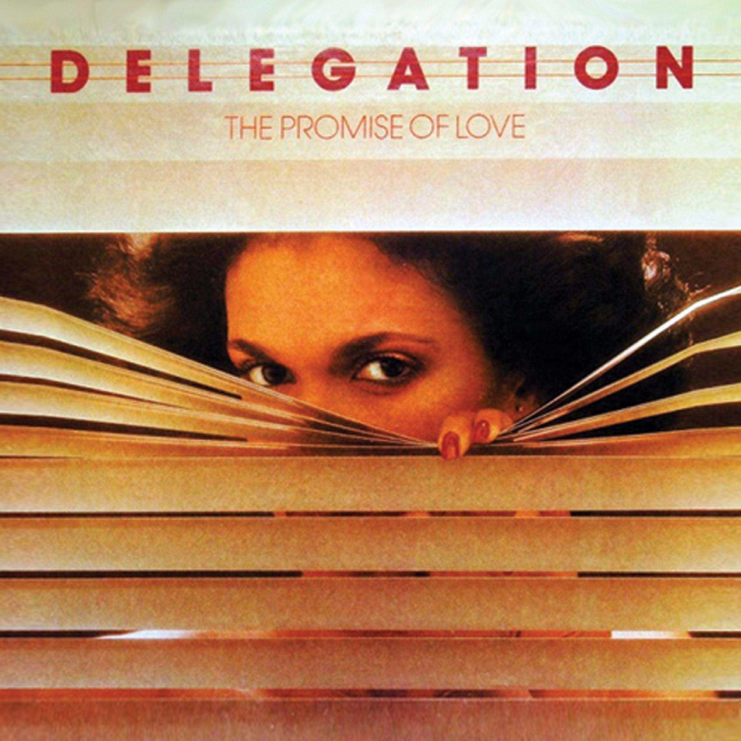 Portada de Álbum "The Promise Of Love", de Delegation