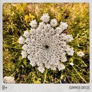 Portada de Sencillo/EP "Summer Dress", de R Plus