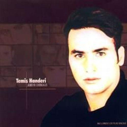Album cover of "Amor Demais" by Temis Handeri
