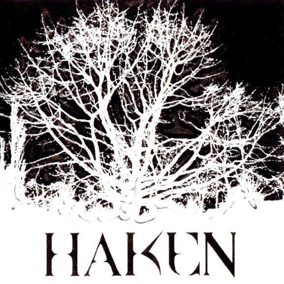 Capa do Single/EP "Enter 5th Dimension", de Haken