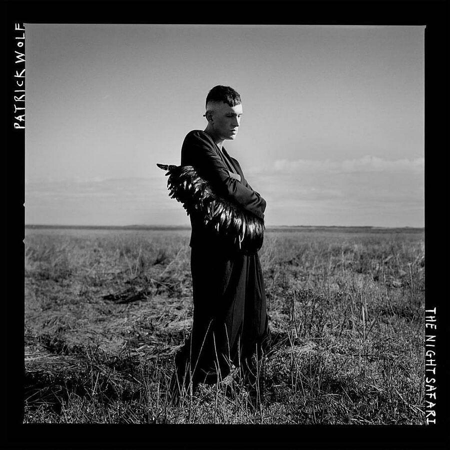 Portada del álbum "The Night Safari", de Patrick Wolf