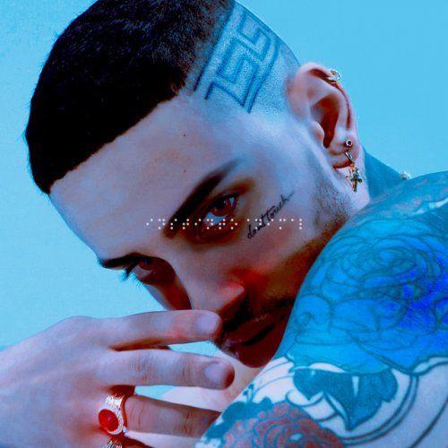 Portada de Sencillo/EP "Animal", de Davi Cíntori