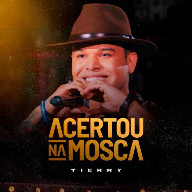 Capa do Álbum "Acertou Na Mosca", de Tierry