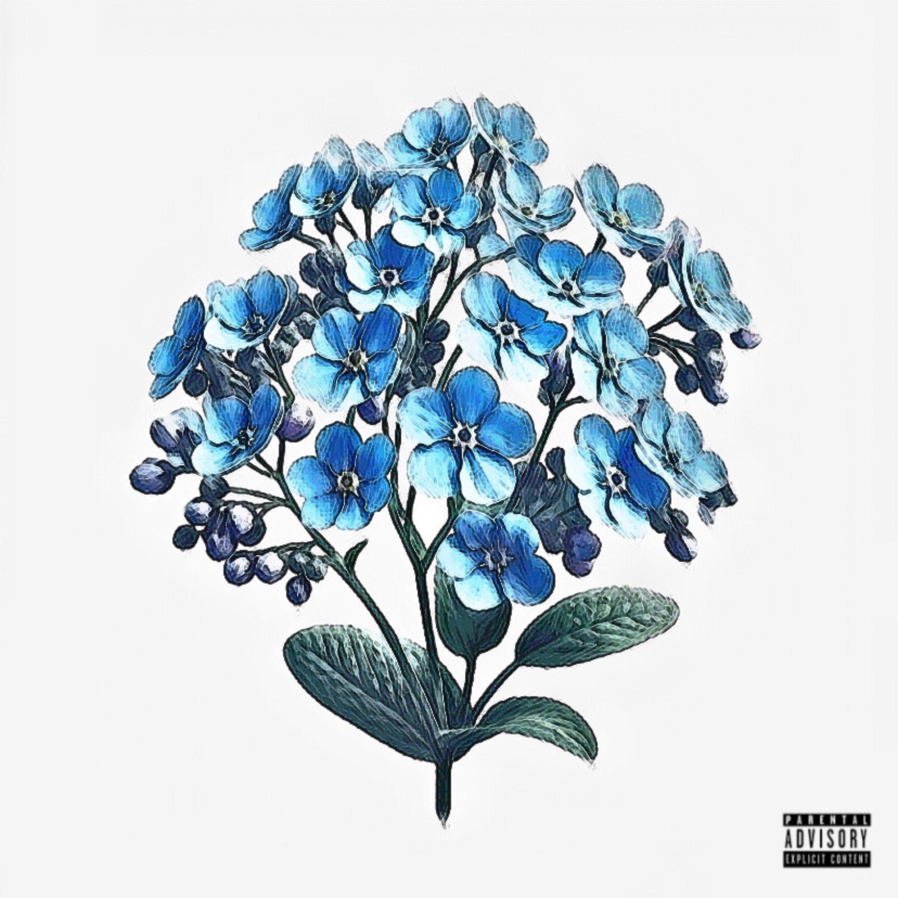 Portada de Sencillo/EP "Myosotis", de Gil Miguel