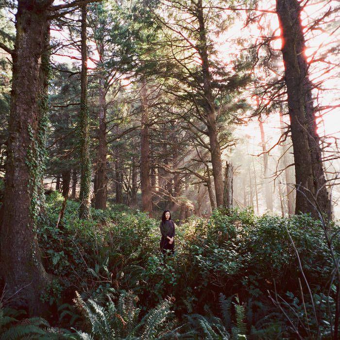 Portada de Sencillo/EP "Seed of a Seed", de Haley Heynderickx