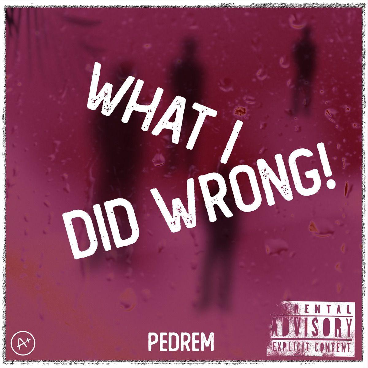 Portada de Sencillo/EP "What I Did Wrong", de Pedrem
