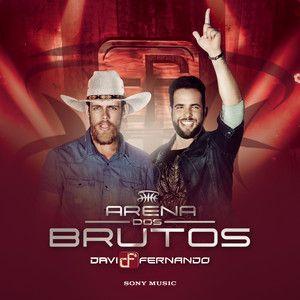 Album cover of "Arena Dos Brutos (Ao Vivo)" by Davi e Fernando