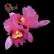 Capa do álbum "Orchid", de Opeth