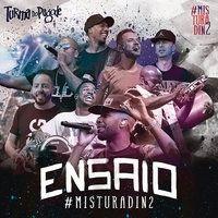 Portada de Álbum "Ensaio Misturadin 2", de Turma do Pagode