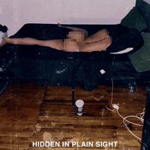 Portada de Álbum "Hidden in Plain Sight (feat. whothehelliscarlo)", de Boldy James