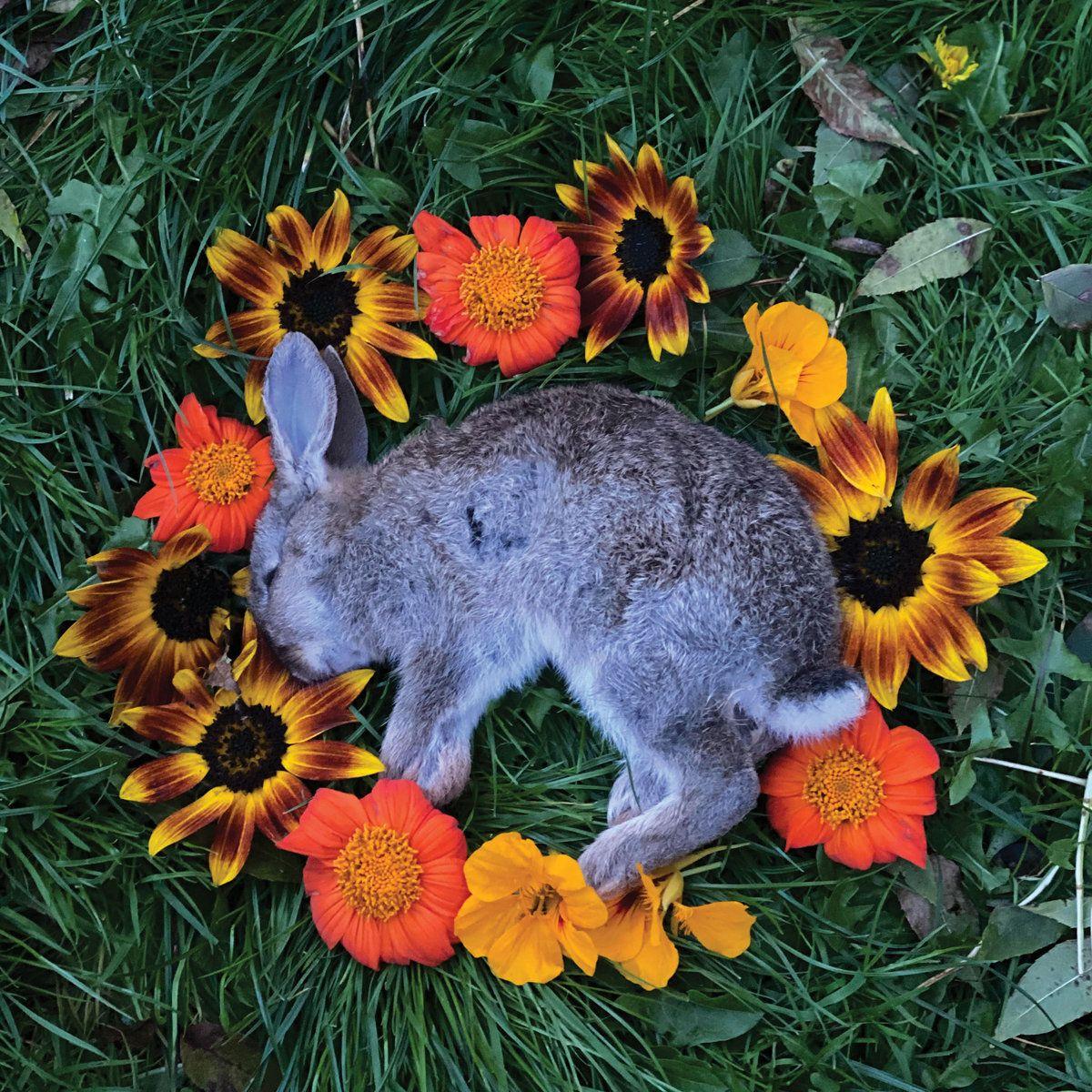 Portada de Álbum "Your Time To Shine", de Monolord