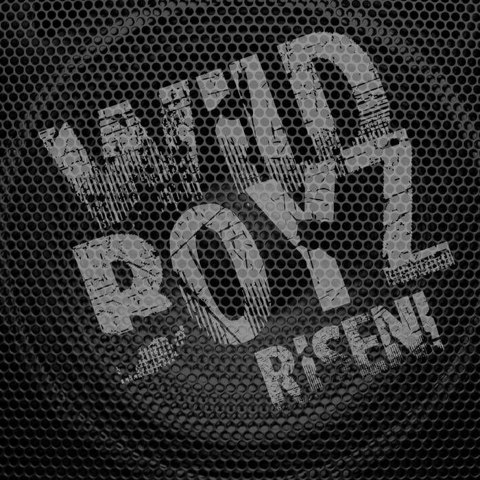 Portada de Álbum " Risen!", de Wild Boyz