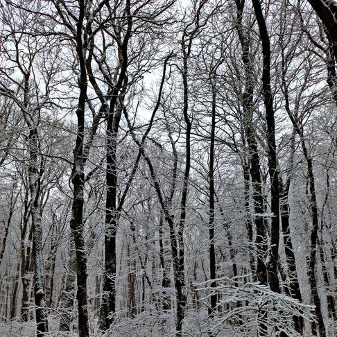 Portada de Sencillo/EP "белый снег", de Enveel