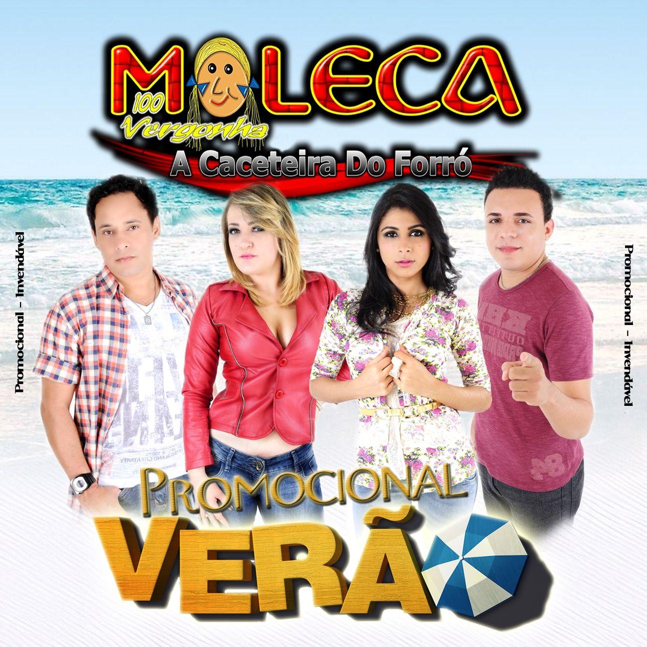 Album cover of "Verão 2013" by Moleca 100 Vergonha
