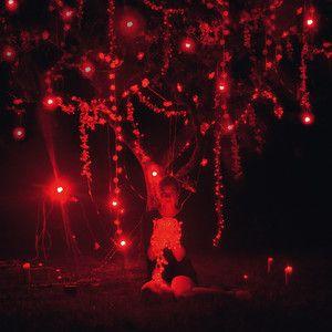 Album cover of "The Danger Of Light" by Sophie Hunger