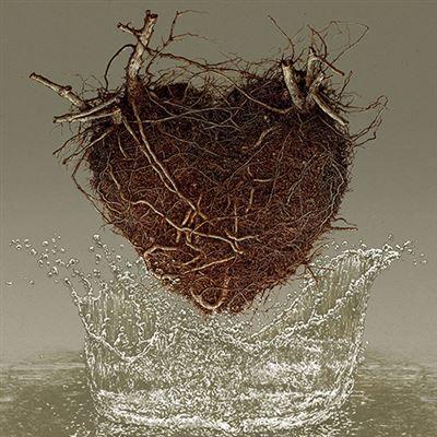 Capa do Álbum "Las Canciones Del Agua", de Los Planetas